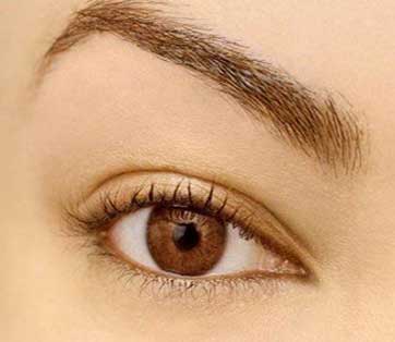 تصاویری از جدید ترین مدل ابرو تصاویری از جدید ترین مدل ابرو