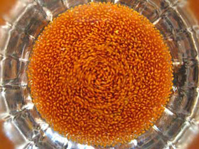 خواص خاکشیر, نحوه نگهداری خاکشیر