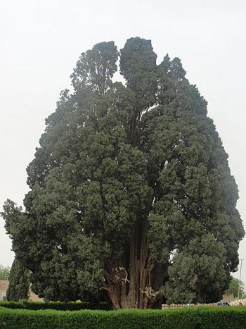 یزد,مکانهای تاریخی یزد,جاهای دیدنی یزد,