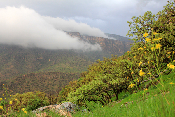 کوه خرمه در روستای زنجیره علیا