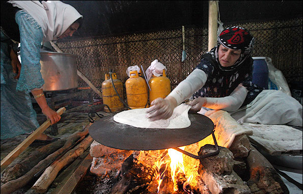 بژی برساق ایلام
