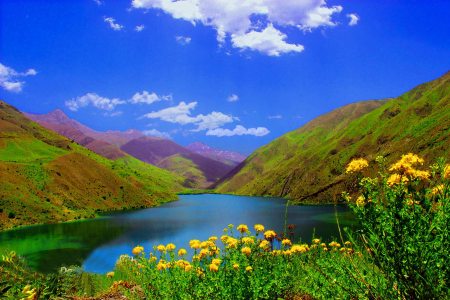 دریاچه گهر