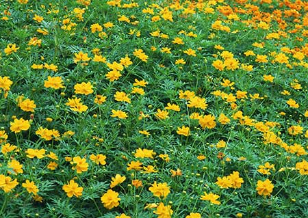 بدون شرح عکسهای جالب,تصاویر جالب,عکس منظره
