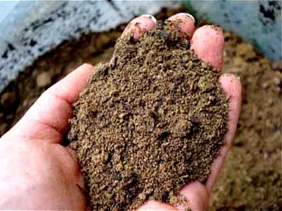 آماده کردن خاک،گیاهان آپارتمانی،خاک مناسب