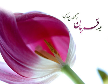 کارت ویژه عید قربان, کارت عید قربان