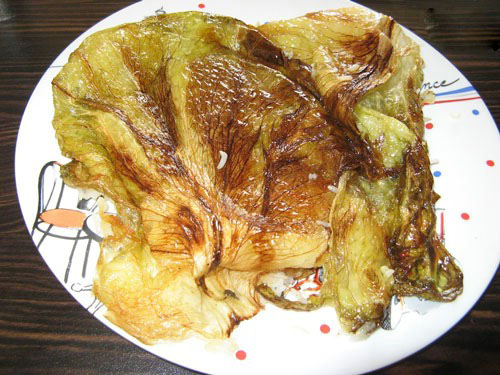 نحوه درست کردن انواع ته‌دیگ, انواع ته‌دیگ, درست کردن ته‌دیگ, ته‌دیگ