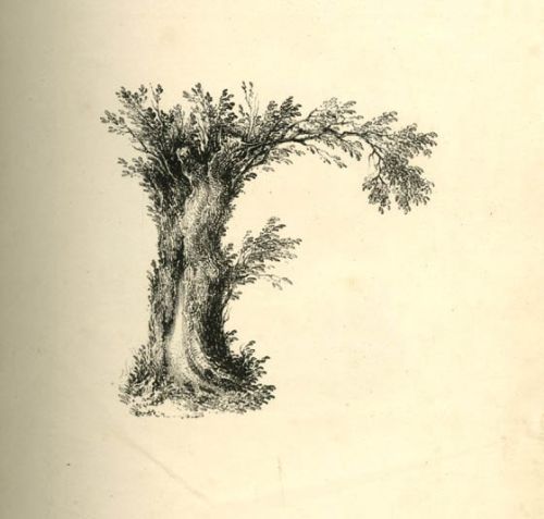 طراحی حروف الفبای انگلیسی,طراحی حروف الفبا,مدل های جالب نوشتن حرف الفبا ,خلاقیت در طراحی حروف الفبا,هنر نقاشی با حروف الفبا,نقاشی حروف الفبا,عکس جالب از حروف الفبا,عکس های جالب