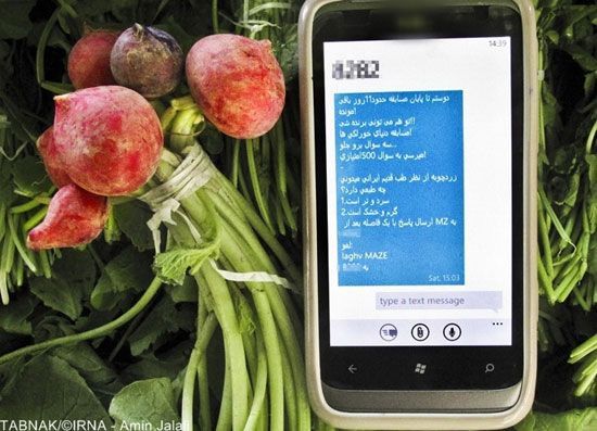 پیامک های تبلیغاتی جالب,پیامک های تبلیغاتی مزاحم,بازار پیامکها,پیامک های تبلیغاتی,تصاویر پیامک های تبلیغاتی,عکس های جالب