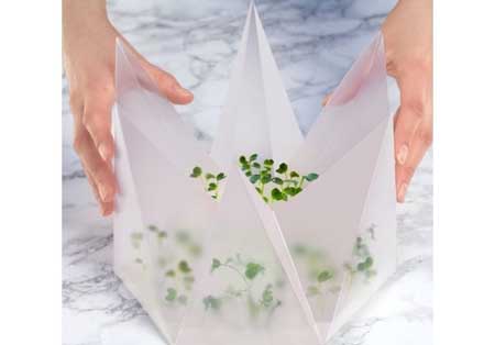 اخبار داغ,اخبار روز,گلخانه مینیاتوری
