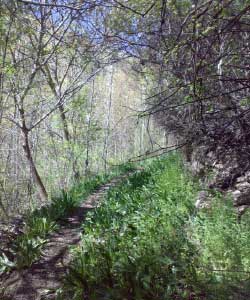 کندوله,روستای کندوله,آشنایی با کندوله