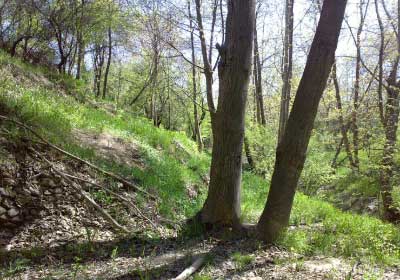 کندوله,روستای کندوله,آشنایی با کندوله