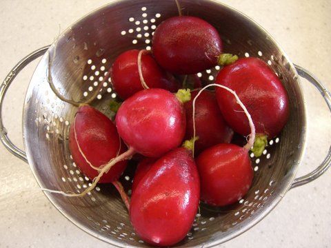 تزیین تربچه به شکل گل رز طرز تزیین تربچه  تزیین ساده تربچه طرز تهیه , آموزش,روش تهیه,تزئین تربچه به شکل گل رُز,تزئین تربچه,سفره آرایی ,تزیین تربچه و پیازچه, تزیین تربچه به شکل موش, تزیین تربچه به شکل قارچ, تزیین انواع تربچه 