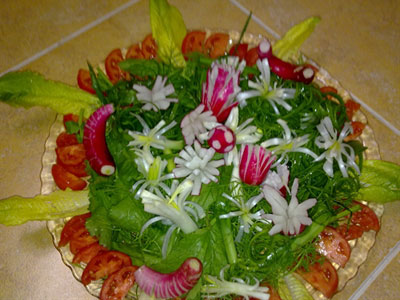 آموزش سبزی آرایی,تزیین سبزی خوردن آموزش سبزی آرایی,تزیین سبزی خوردن