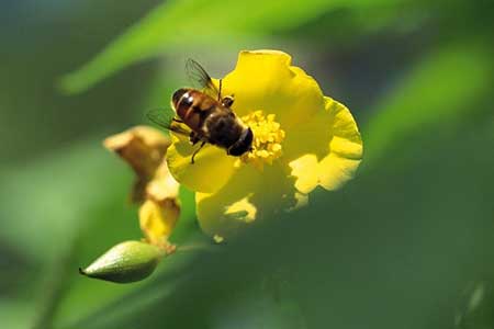 عکسهای جالب,تصاویر جالب