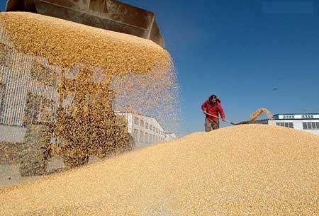 عکسهای جالب,تصاویر جالب
