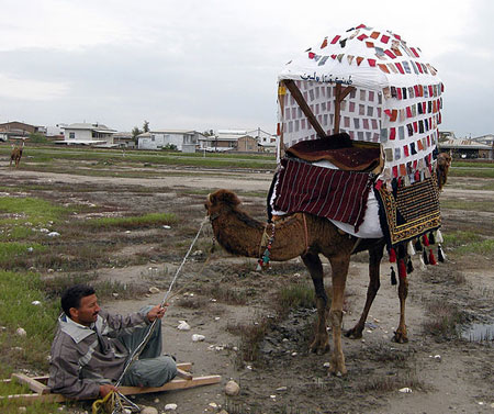 هنرهای دستی و سنتی, کجاوه