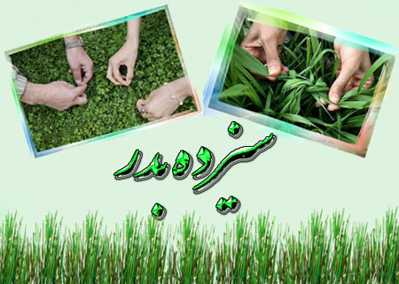کارت پستال سیزده بدر,کارت پستال روز طبیعت