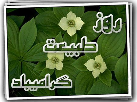 کارت پستال سیزده بدر,کارت پستال روز طبیعت