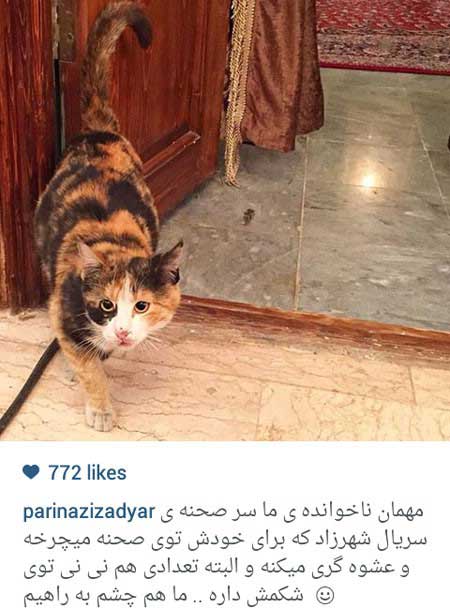اخبار,اخبار فرهنگی ,بازیگران ایرانی اخبار,اخبار فرهنگی ,بازیگران ایرانی