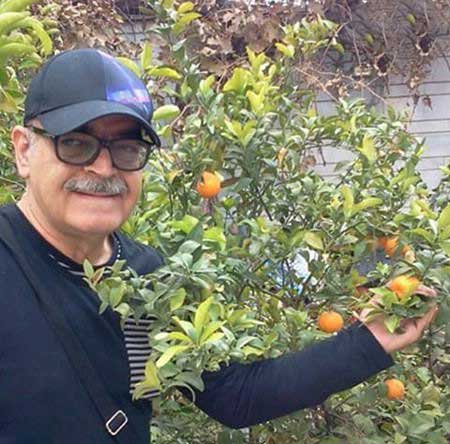 اخبار,اخبار فرهنگی , بازیگران ایرانی