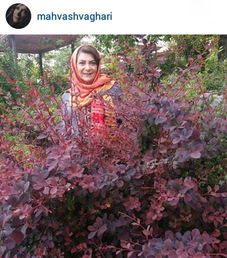 اخبار,اخبار فرهنگی , بازیگران ایرانی