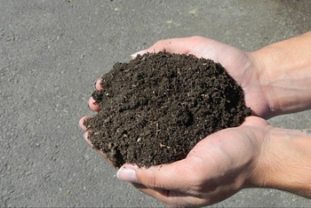 خاک شناسی, رشته خاک شناسی, گرایشهای رشته خاک شناسی