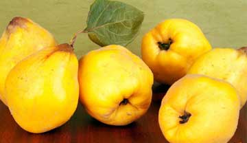 خواص گیاه به دانه, خاصیت به دانه