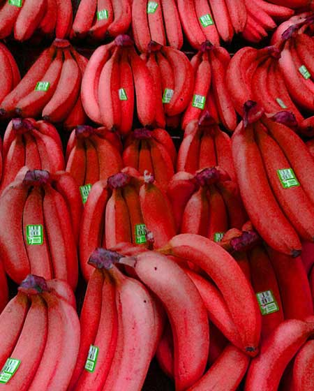 عکسهای جالب,تصاویر جالب