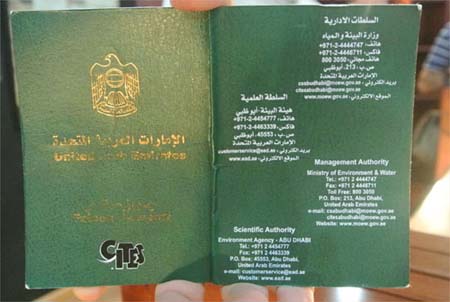 اخبار , اخبار گوناگون,تصاویر بیمارستان شاهین,بیمارستان شاهین در ابوظبی اخبار , اخبار گوناگون,تصاویر بیمارستان شاهین,بیمارستان شاهین در ابوظبی