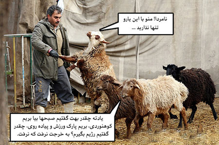 عکس خنده دار عید قربان , طنز عید قربان 