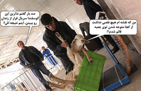 اس ام اس عید قربان خنده دار, عکس عید قربان