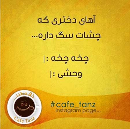 جوکهای سرکاری, عکس نوشته های کافه طنز