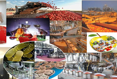 متخصص صنایع غذایی, شغل صنایع غذایی, وظایف متخصص صنایع غذایی