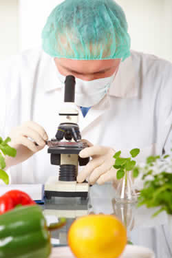 شغل صنایع غذایی,متخصص صنایع غذایی,وظایف متخصص صنایع غذایی
