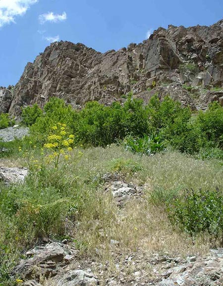 رودخانه وارنگه رود,منطقه حفاظت شده وارنگه رود