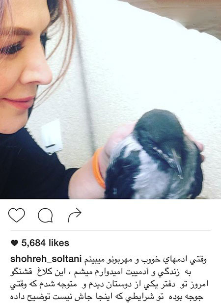 اخباربازیگران,اخبارهنرمندان,عکس بازیگران