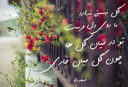 غزل و شعر فارسی غزل,شعر غزل,شعر غزل فارسی
