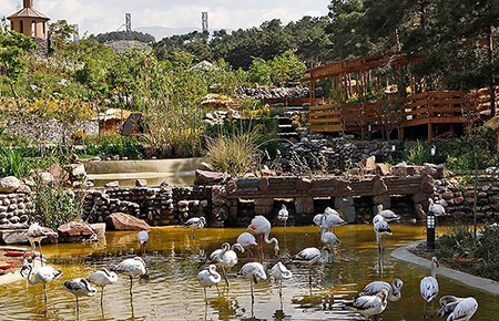 جاهای دیدنی ایران در تابستان,دیدنی های ایران در تابستان