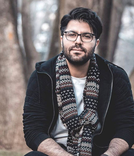 زندگی نامه حامد همایون , آلبوم حامد همایون