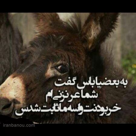 پروفایل جذب کننده