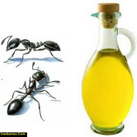 روغن مورچه برای صورت