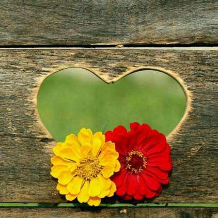 عکسهای عاشقانه جدید عکس پروفایل خاص پسرونه