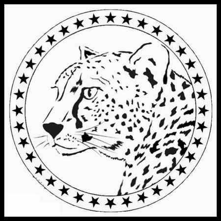 عکس پروفایل پرچم ایران عکس پروفایل جام جهانی ایران