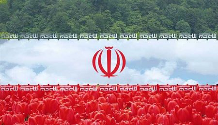 پروفایل ویزه جام جهانی پروفایل برد تیم ملی