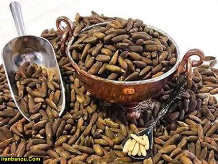 فواید و مضرات چلغوز