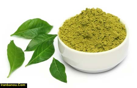 ادویه ارگانو چیست