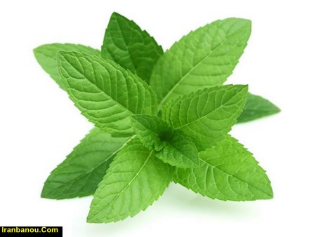 روغن ارگانو