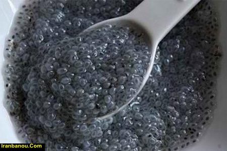 مقدار مصرف تخمه شربتی برای لاغری