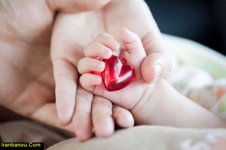چرا قلب جنین تشکیل نمی شود قلب جنین در چند هفتگی میزند