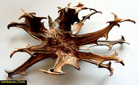 پماد پنجه شیطان
